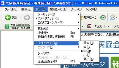 Windows Internet Explorer画面